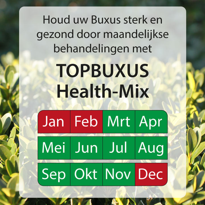 Halten Sie Ihren Buchsbaum stark und gesund durch monatliche Behandlungen mit Topbuxus Health-Mix  Anwendungstabelle